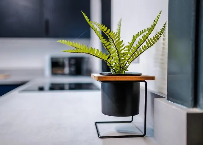 Spacious 3 Bedroom Close To Centre With Parking - Short Dom wakacyjny Leeds (West Yorkshire)