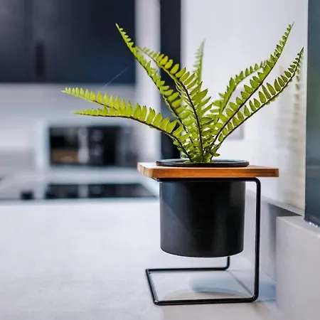 Spacious 3 Bedroom Close To Centre With Parking - Short Dom wakacyjny Leeds (West Yorkshire)